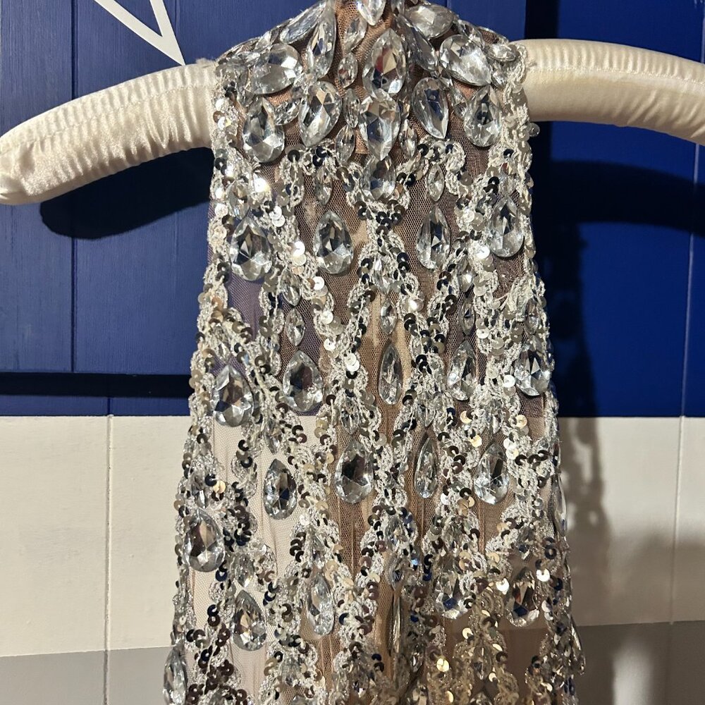 Custom Crystal Gown - Picture 4 of 16